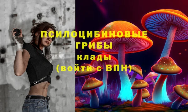 твердый Алексин