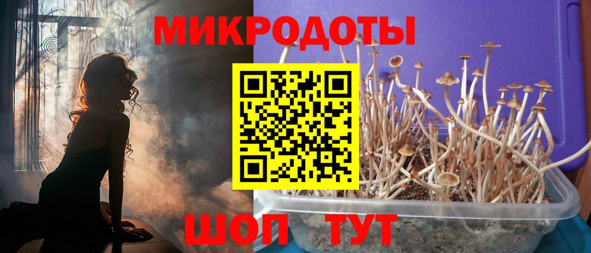 Уссурийск  цена наркотик  Вход с VPN  Псилоцибиновые грибы ЛСД 